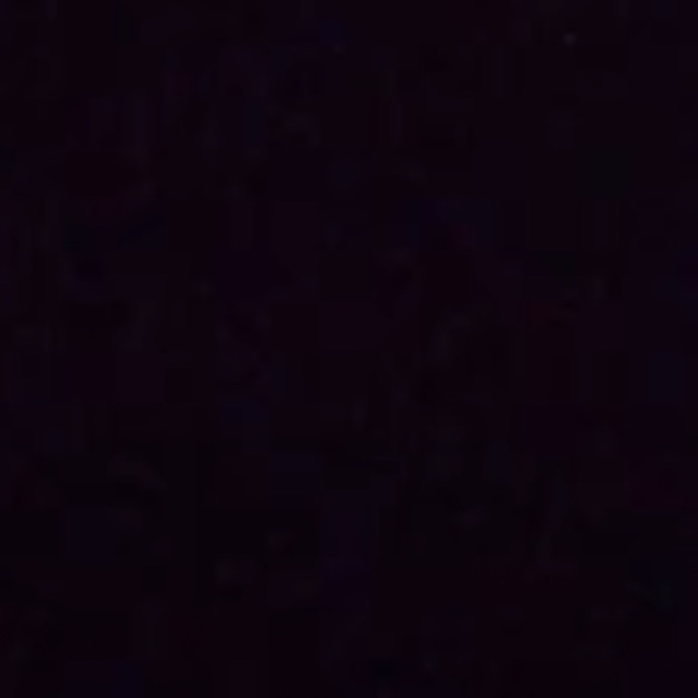 Meet your Posher, Annie